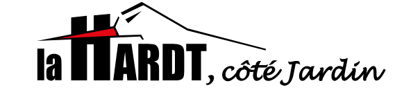 Capture d’écran 2026-02-13 151544